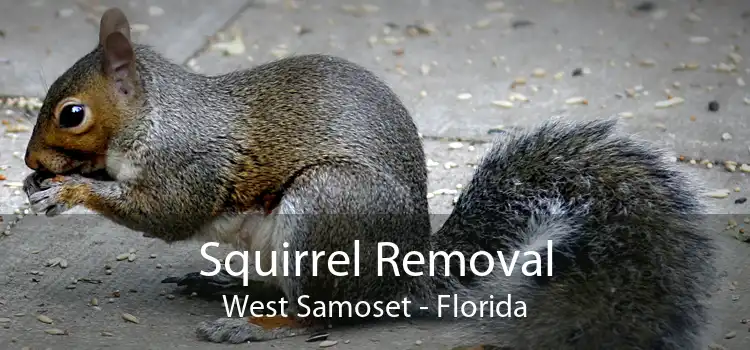 Squirrel Removal West Samoset - Florida