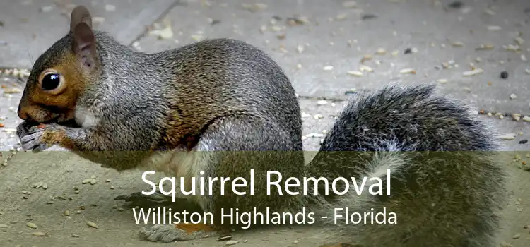 Squirrel Removal Williston Highlands - Florida