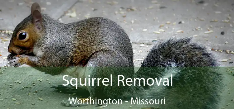 Squirrel Removal Worthington - Missouri