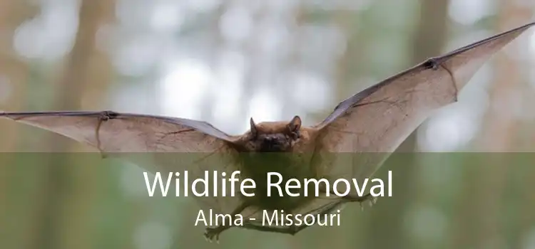 Wildlife Removal Alma - Missouri