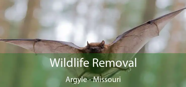 Wildlife Removal Argyle - Missouri