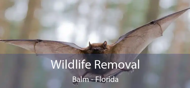 Wildlife Removal Balm - Florida