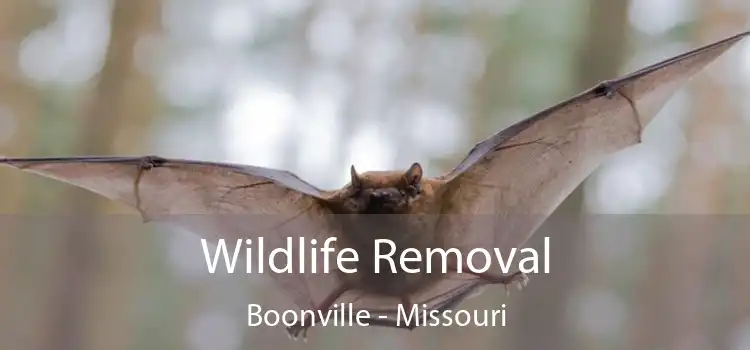 Wildlife Removal Boonville - Missouri