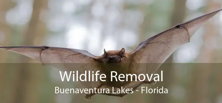 Wildlife Removal Buenaventura Lakes - Florida