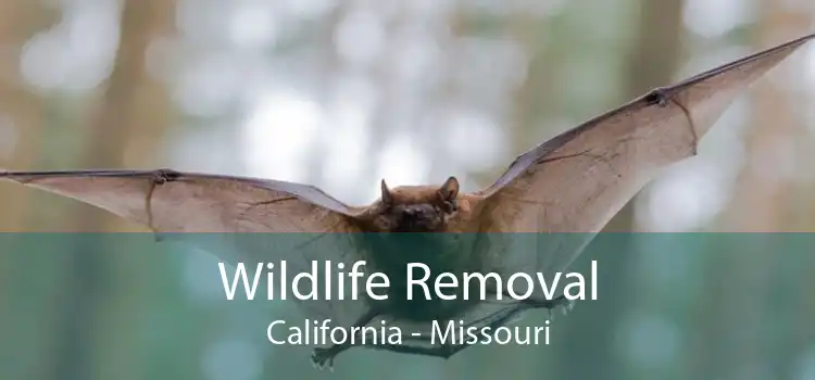 Wildlife Removal California - Missouri