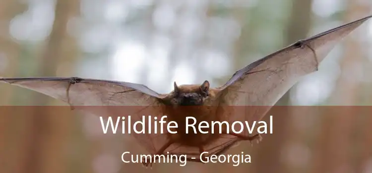 Wildlife Removal Cumming - Georgia