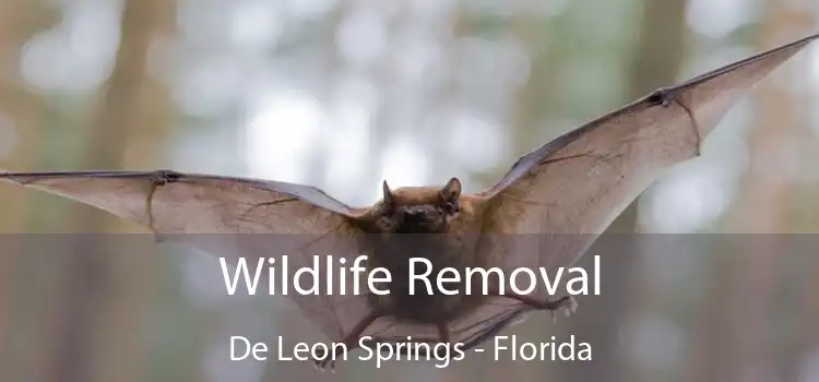 Wildlife Removal De Leon Springs - Florida