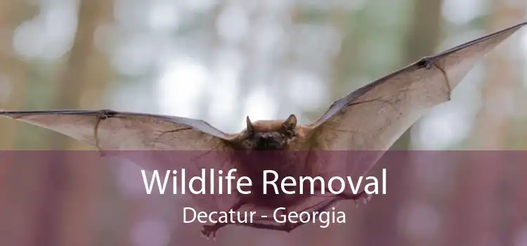 Wildlife Removal Decatur - Georgia