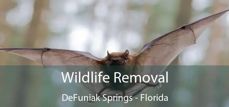 Wildlife Removal DeFuniak Springs - Florida