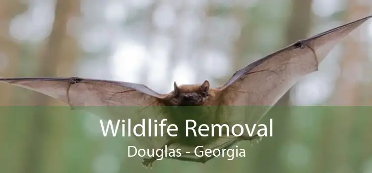 Wildlife Removal Douglas - Georgia