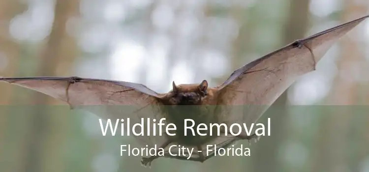 Wildlife Removal Florida City - Florida