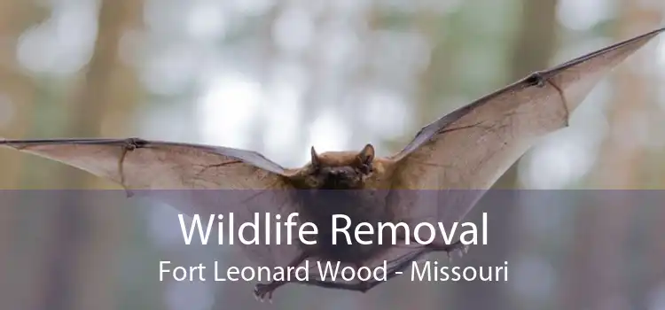 Wildlife Removal Fort Leonard Wood - Missouri
