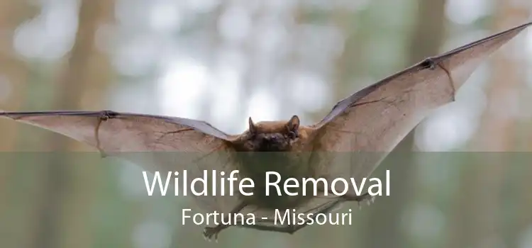 Wildlife Removal Fortuna - Missouri
