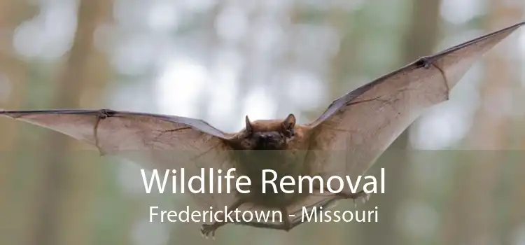 Wildlife Removal Fredericktown - Missouri