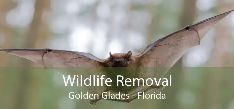 Wildlife Removal Golden Glades - Florida