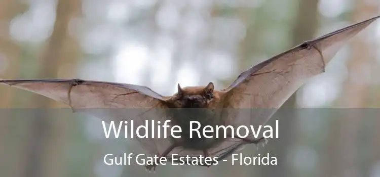 Wildlife Removal Gulf Gate Estates - Florida