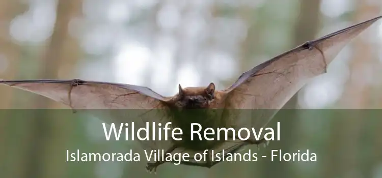 Wildlife Removal Islamorada Village of Islands - Florida