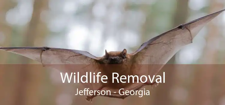 Wildlife Removal Jefferson - Georgia
