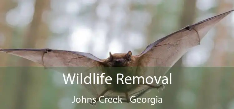 Wildlife Removal Johns Creek - Georgia