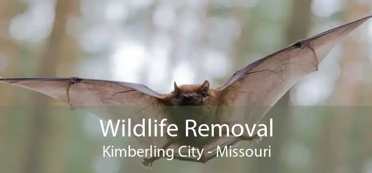 Wildlife Removal Kimberling City - Missouri