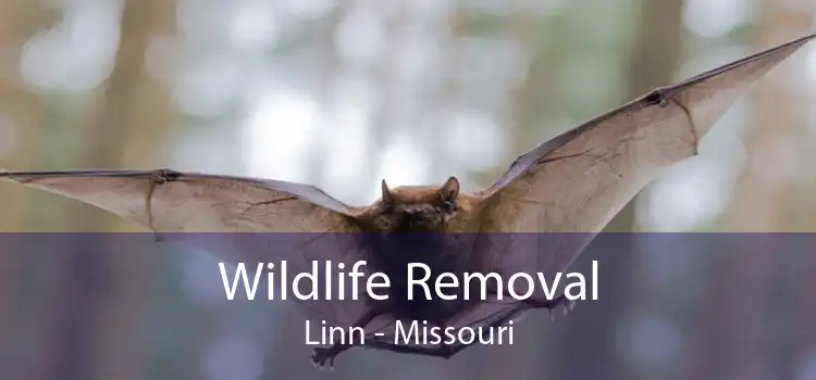 Wildlife Removal Linn - Missouri