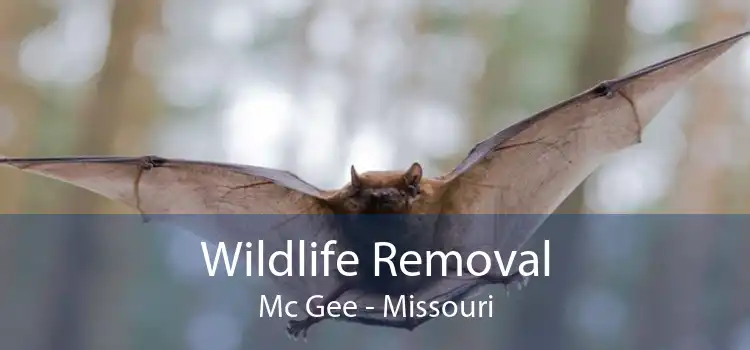 Wildlife Removal Mc Gee - Missouri