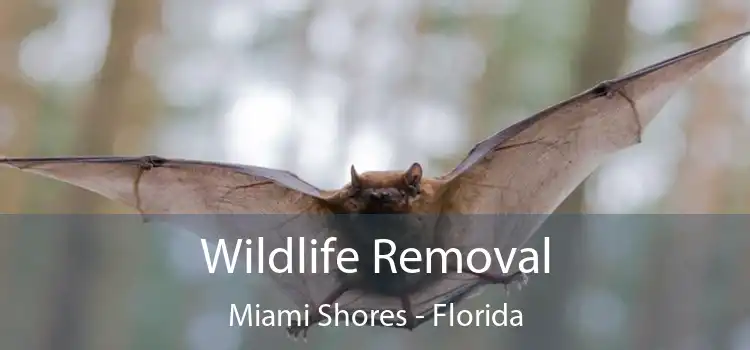 Wildlife Removal Miami Shores - Florida