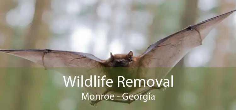 Wildlife Removal Monroe - Georgia