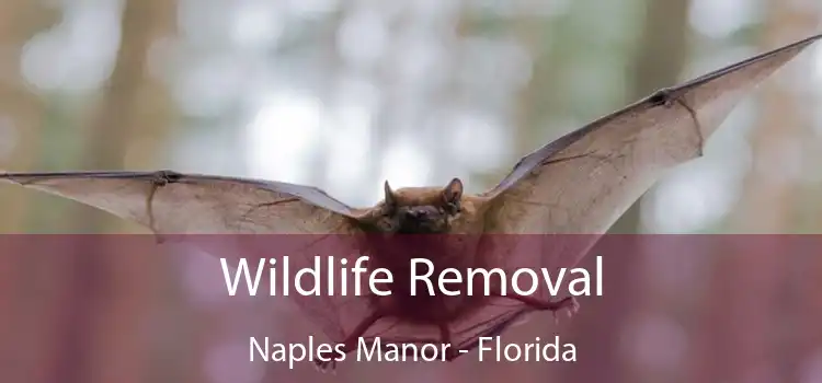 Wildlife Removal Naples Manor - Florida