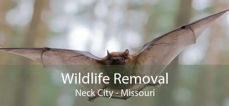 Wildlife Removal Neck City - Missouri
