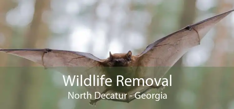 Wildlife Removal North Decatur - Georgia