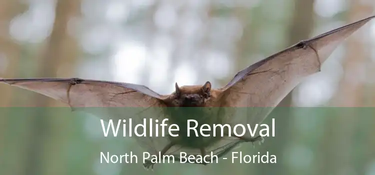 Wildlife Removal North Palm Beach - Florida