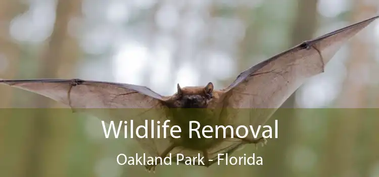 Wildlife Removal Oakland Park - Florida