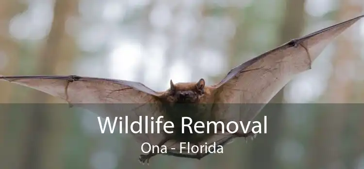 Wildlife Removal Ona - Florida
