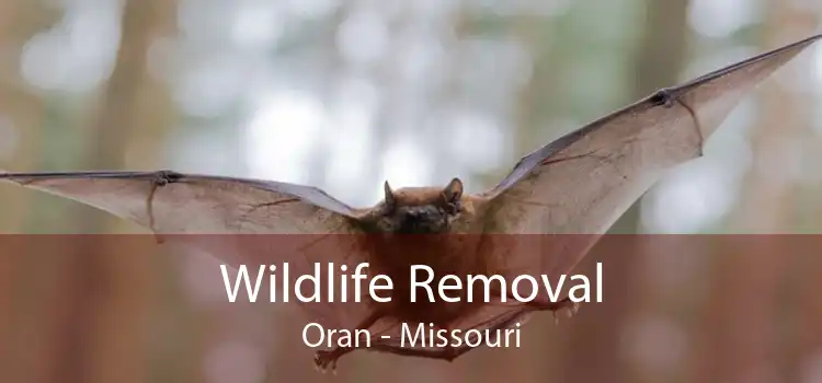 Wildlife Removal Oran - Missouri