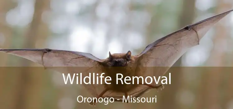 Wildlife Removal Oronogo - Missouri