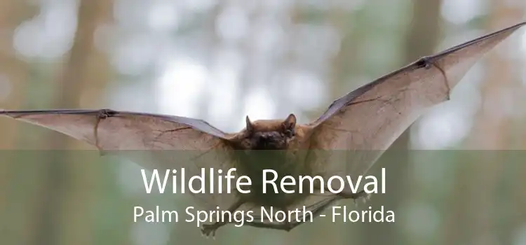 Wildlife Removal Palm Springs North - Florida
