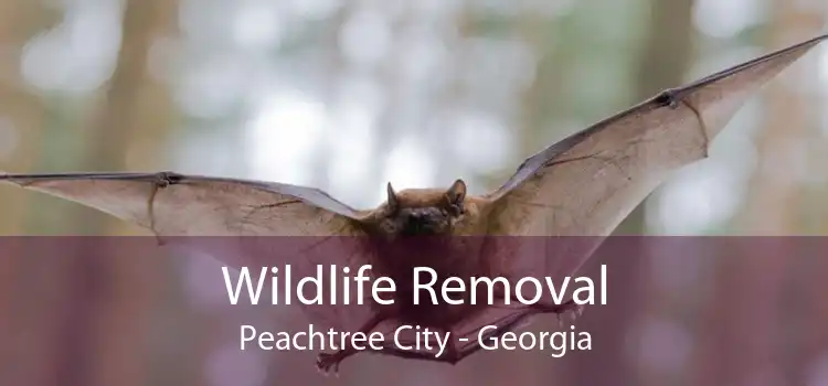 Wildlife Removal Peachtree City - Georgia