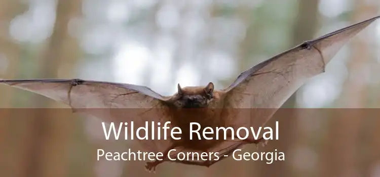 Wildlife Removal Peachtree Corners - Georgia