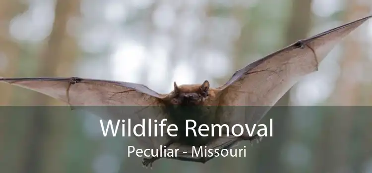 Wildlife Removal Peculiar - Missouri