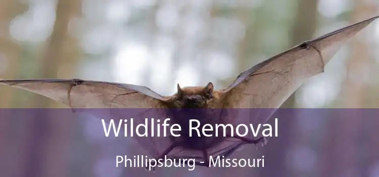 Wildlife Removal Phillipsburg - Missouri