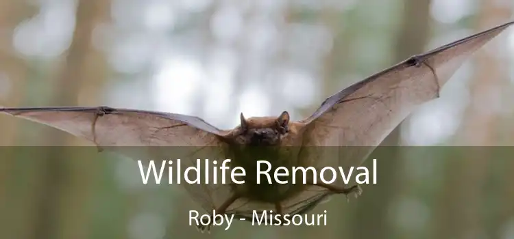 Wildlife Removal Roby - Missouri