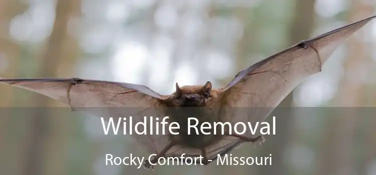 Wildlife Removal Rocky Comfort - Missouri