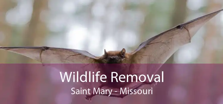Wildlife Removal Saint Mary - Missouri
