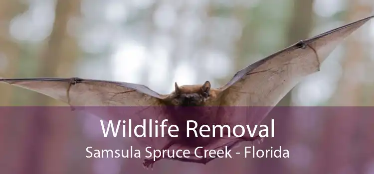 Wildlife Removal Samsula Spruce Creek - Florida