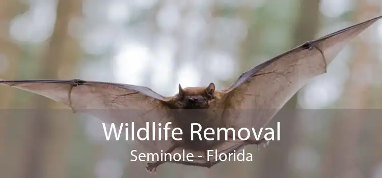 Wildlife Removal Seminole - Florida