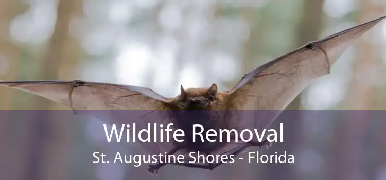 Wildlife Removal St. Augustine Shores - Florida