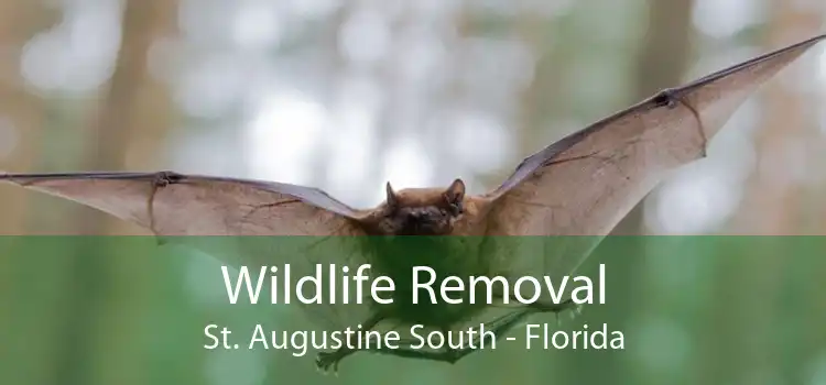 Wildlife Removal St. Augustine South - Florida