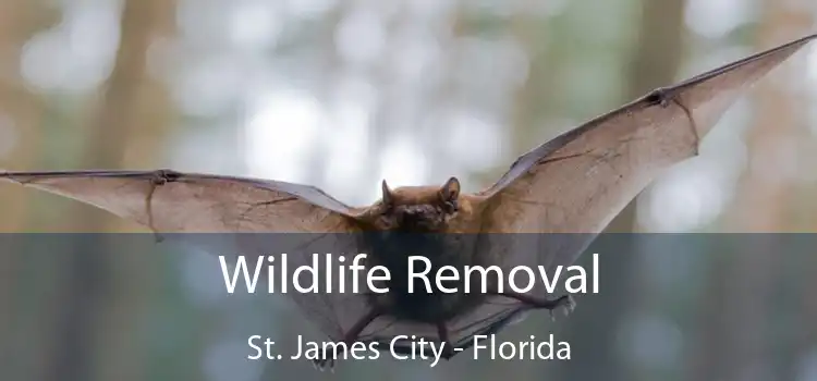 Wildlife Removal St. James City - Florida