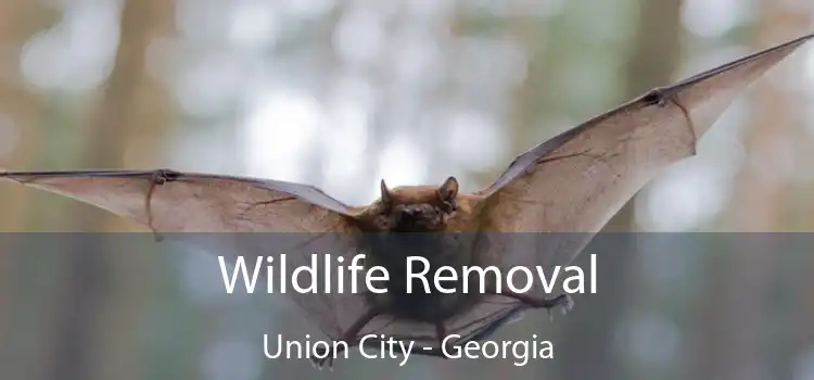 Wildlife Removal Union City - Georgia